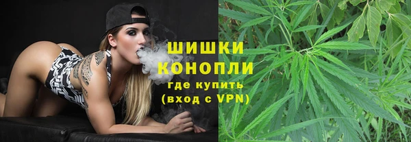 бошки Горняк