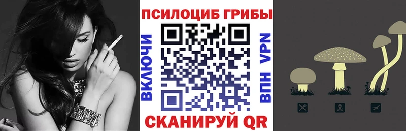Купить закладки  Малгобек  Псилоцибиновые грибы мицелий 